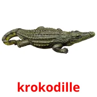 krokodille cartões com imagens