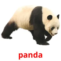 panda cartões com imagens