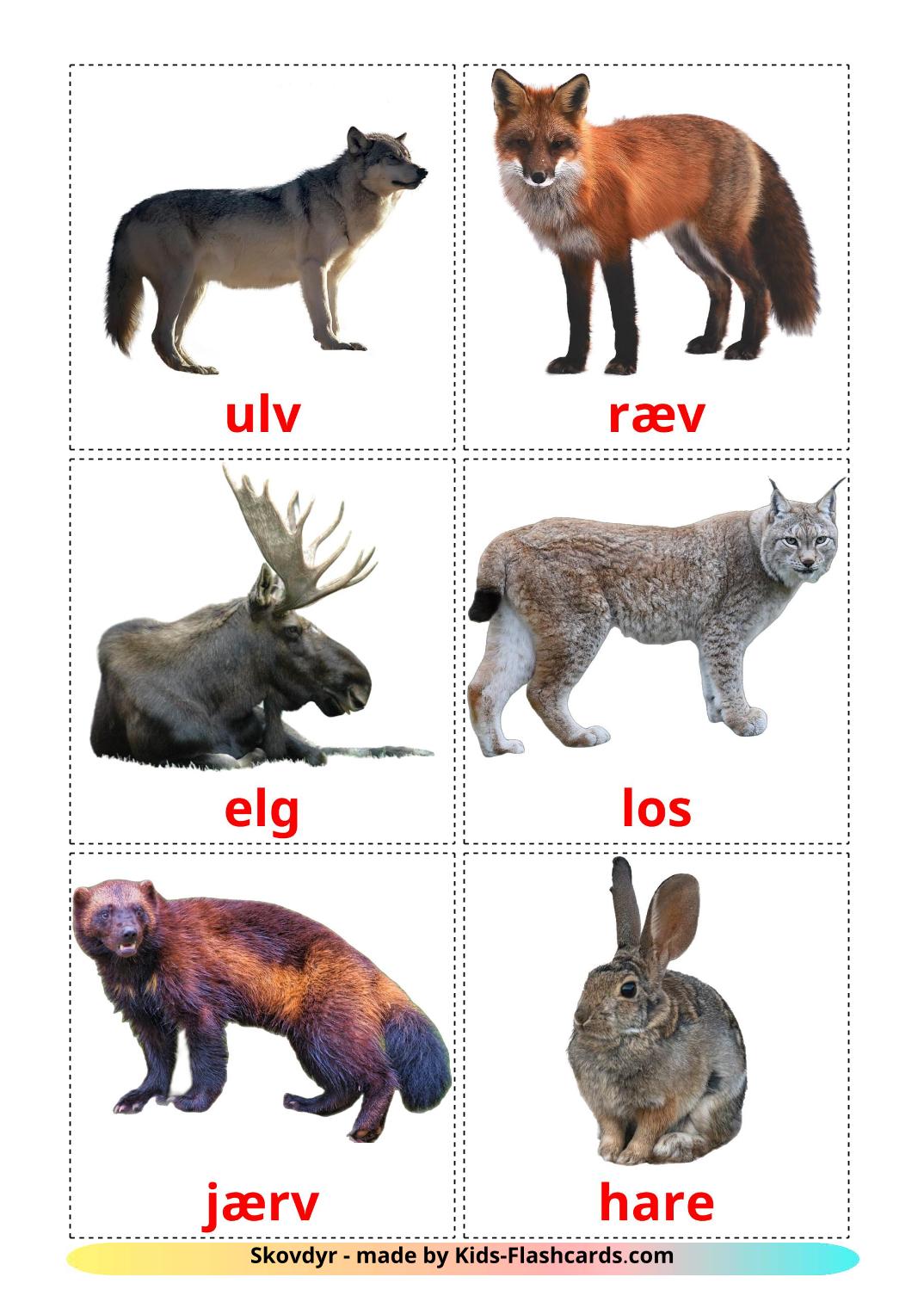 Forest animals - 22 Free Printable dansk Flashcards 