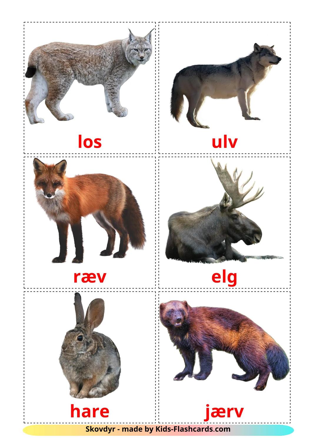 Animais da Floresta - 23 Flashcards danskes gratuitos para impressão