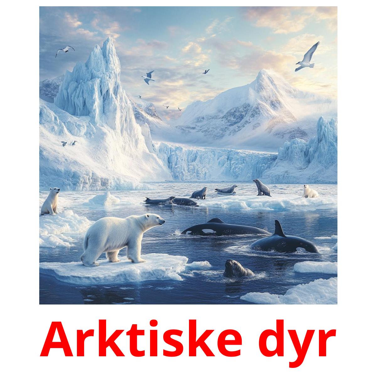 Arktiske dyr Bildkarteikarten