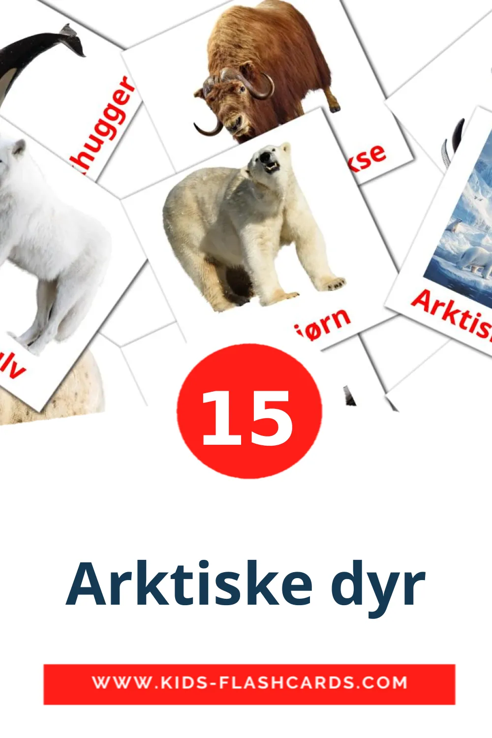 15 Cartões com Imagens de Arktiske dyr para Jardim de Infância em dansk