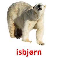 isbjørn card for translate