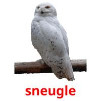 sneugle card for translate