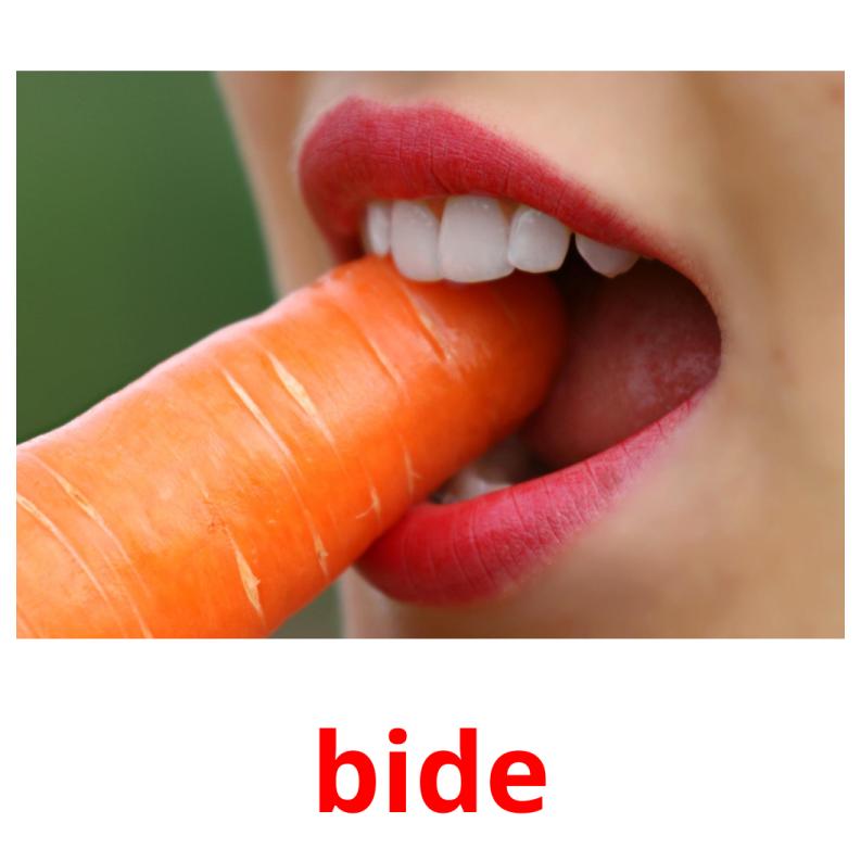 bide picture flashcards