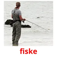 fiske picture flashcards