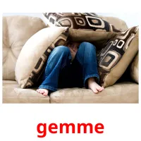 gemme picture flashcards