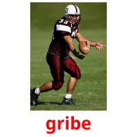 gribe picture flashcards