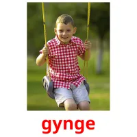 gynge picture flashcards