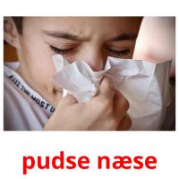 pudse næse picture flashcards