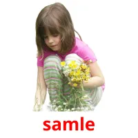 samle picture flashcards