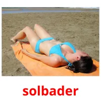 solbader picture flashcards