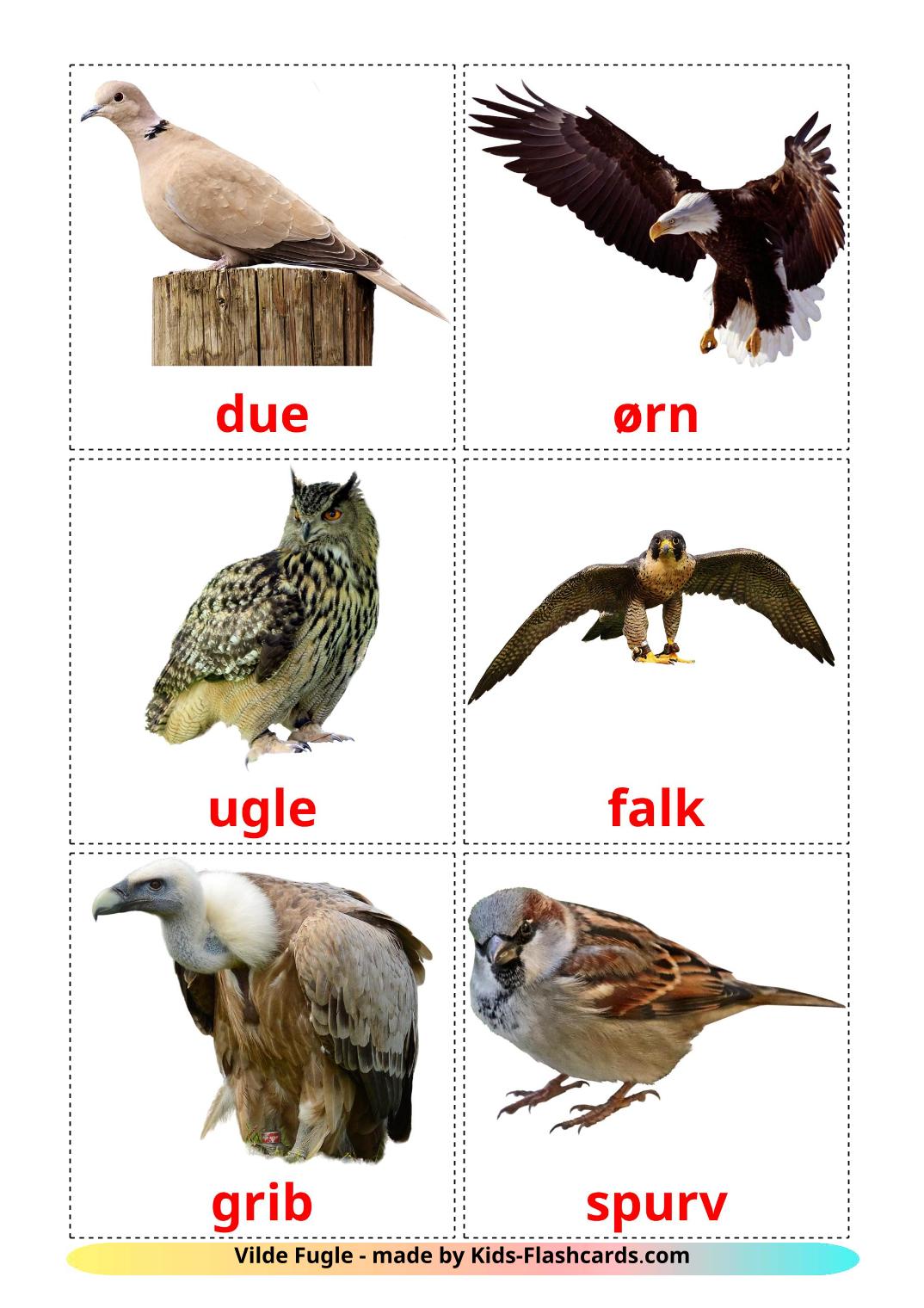 Wild birds - 18 Free Printable dansk Flashcards 