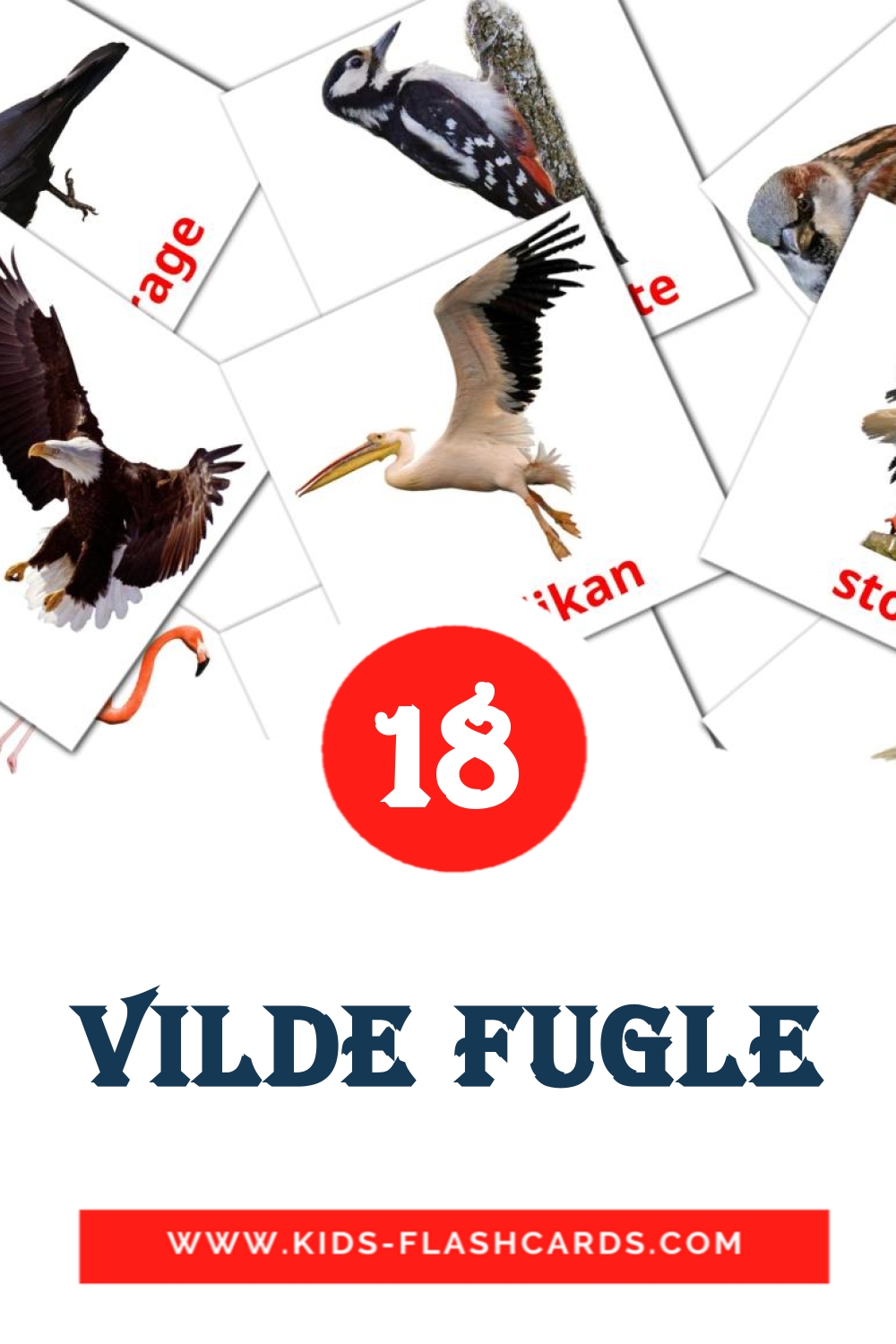 18 Vilde Fugle Picture Cards for Kindergarden in dansk