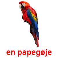 en papegøje card for translate