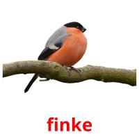 finke card for translate