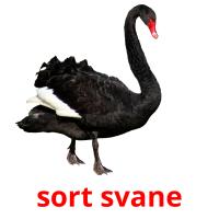 sort svane card for translate