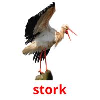 stork picture flashcards