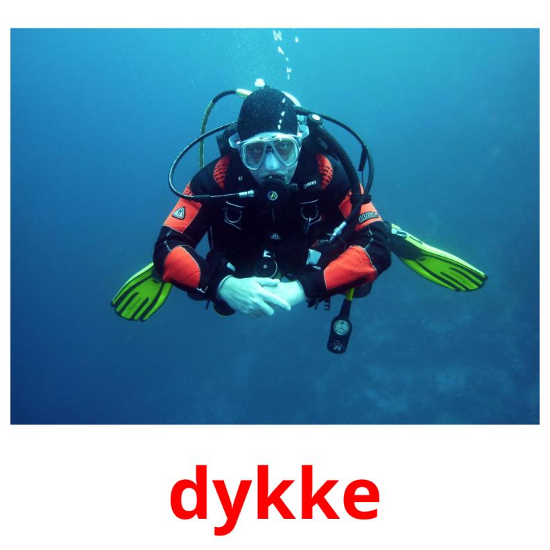 dykke picture flashcards