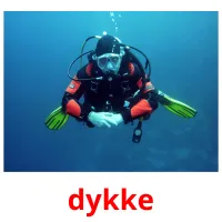 dykke picture flashcards