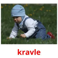 kravle picture flashcards