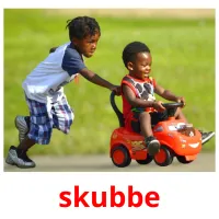 skubbe picture flashcards