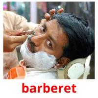 barberet picture flashcards