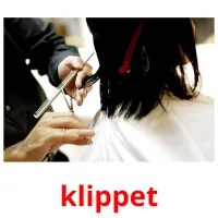 klippet picture flashcards