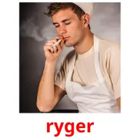 ryger picture flashcards