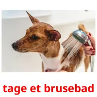 tage et brusebad picture flashcards