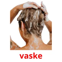 vaske picture flashcards