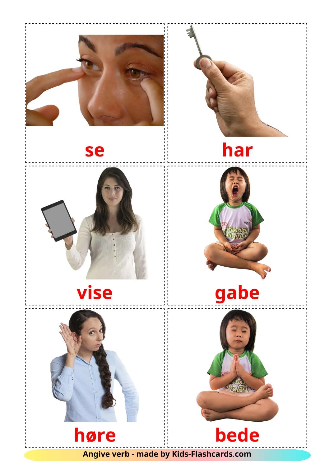 State verbs - 24 Free Printable dansk Flashcards 