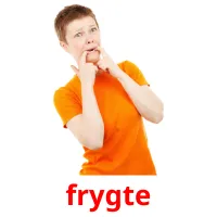 frygte picture flashcards