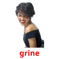 grine picture flashcards