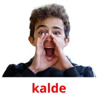 kalde picture flashcards