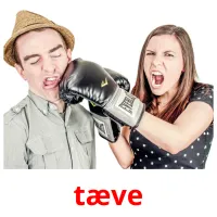 tæve picture flashcards