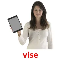 vise picture flashcards