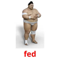 fed cartões com imagens