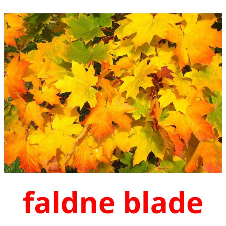 faldne blade picture flashcards