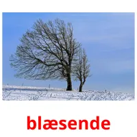 blæsende flashcards illustrate