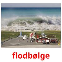 flodbølge flashcards illustrate