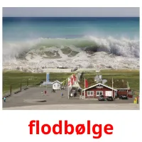 flodbølge flashcards illustrate