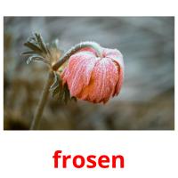 frosen picture flashcards