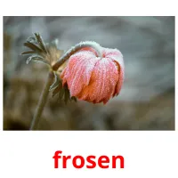 frosen flashcards illustrate