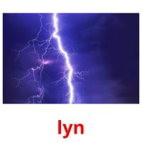 lyn picture flashcards