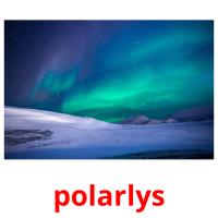 polarlys cartões com imagens