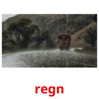 regn picture flashcards