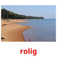 rolig picture flashcards