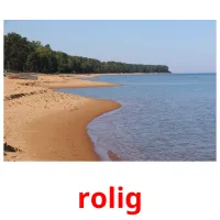 rolig flashcards illustrate