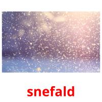 snefald flashcards illustrate